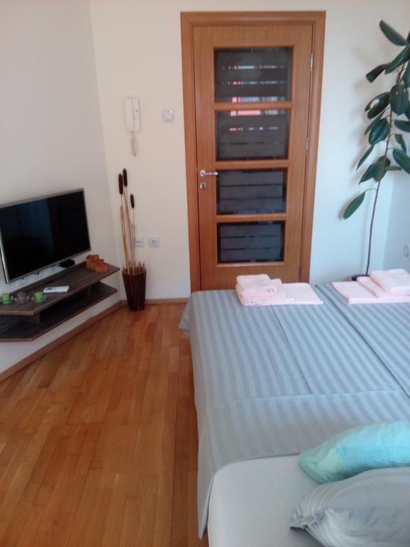 Apartment Boris นิส ห้อง รูปภาพ